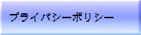 プライバシーポリシー 